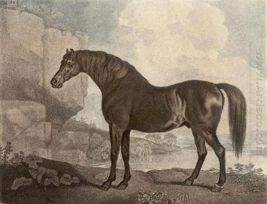 Marske Cheval