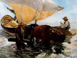 Study For The Comeback Of The Fisheries 1894