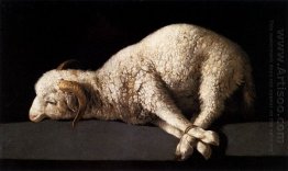 Agnus Dei 1640