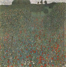 Poppy Field