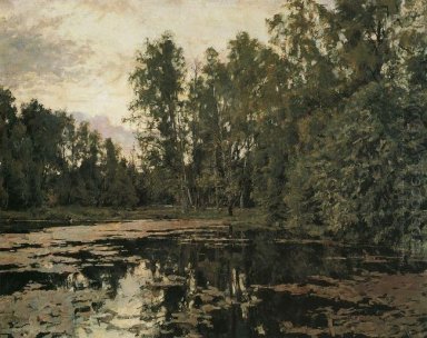 Den Vuxen Pond Domotcanovo 1888