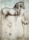 Studie Of Horses