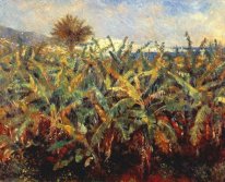 Field Of Banana Trees 1881