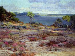 Mountain Pinks in Bloom, Medina Lake, Southwest Texas