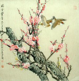 Birds&Flowers - Chinese Painting