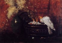 Still Life With Cockatoo