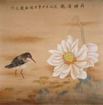 Lotus - peinture chinoise