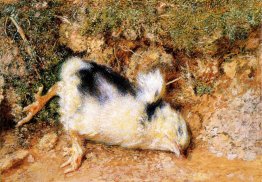 John Ruskin's dead chick