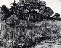 The Park At Arles 1889