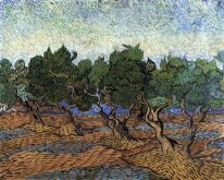 Olive Grove 1889 1