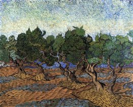 Olive Grove 1889 1