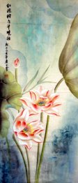 Lotus - Chinese Painting