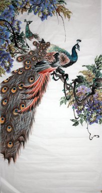 Peacock - pittura cinese