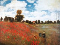 Klatschmohn, der Gegend von Argenteuil