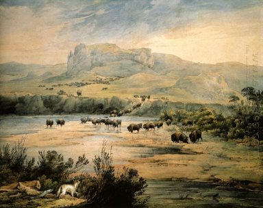 Landschaft mit Büffel auf der oberen Missouri