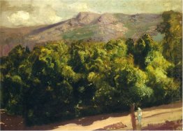 Gardens At San Ildefonso 1907