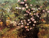 Rosier dans la fleur 1889