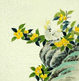 Birds&Flowers - Chinese Painting