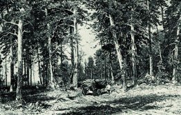 Forest 1876