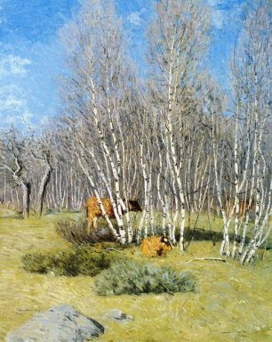 The Birches