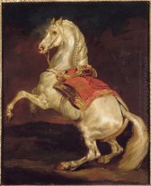 Napoléon S Stallion Tamerlan