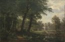 Forest Landscape con Stream