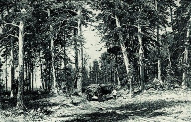 Wald 1876