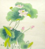 Lotus - Chinese Painting