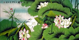 Lotus - Chinese Painting