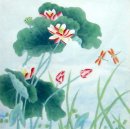 Libélula-Lotus - pintura chinesa