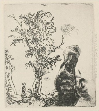 Croquis d\'un arbre 1638