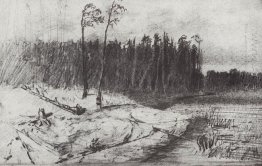 forest near the water 1872