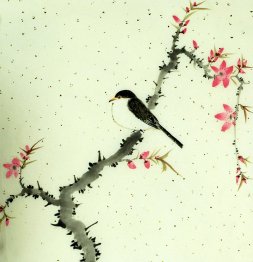 Birds&Flowers - Chinese Painting