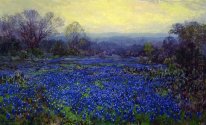 Field of Bluebonnets