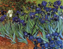 Irises 1889