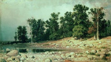 Costa de Oak Grove de Peter el grande en Sestroretsk 1885