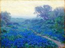 Bluebonnets Di Sunrise