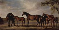 Mares And Foals Are Anxious Before A Looming Storm 1765