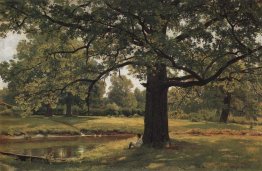 Oaks In Old Peterhof 1891 1