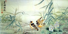 Birds&Flowers - Chinese Painting