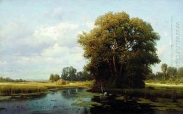 Landscape with swamp