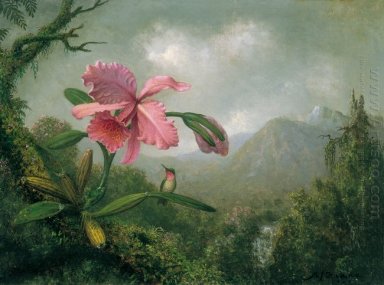 Orchidea e Hummingbird nei pressi di un Mountain Waterfall
