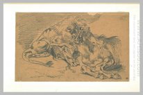 Lion Devouring A Horse