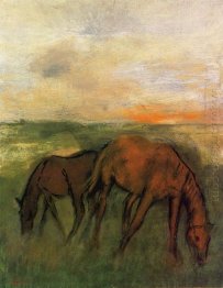 two horses in a pasture