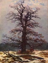 Oak tree in the snow