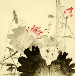 Lotus - Chinese Painting