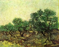 Olive Picking 1889 1