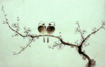 Birds&Flowers - Chinese Painting