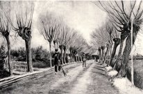 Road With Pollard Willows And Man With Broom 1881