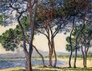 Les arbres en bord de mer à Antibes